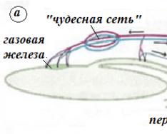 По своему строению различают